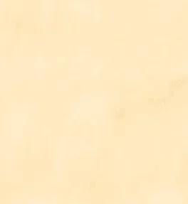 Stucco Italiano 色卡實際紋理 004/1