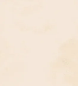Stucco Italiano 色卡實際紋理 006/1