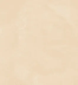 Stucco Italiano 色卡實際紋理 006/3