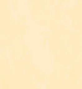 Stucco Italiano 色卡實際紋理 010/1