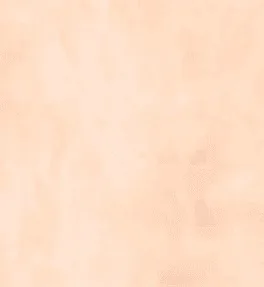 Stucco Italiano 色卡實際紋理 016/1