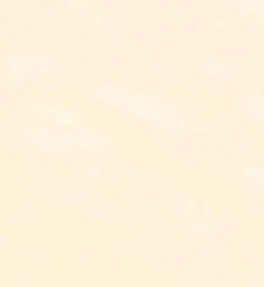 Stucco Italiano 色卡實際紋理 024/3