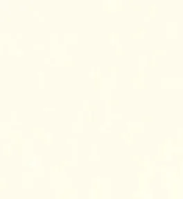 Stucco Italiano 色卡實際紋理 033/3