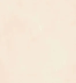 Stucco Italiano 色卡實際紋理 043/3