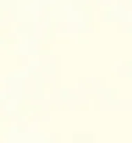 Stucco Italiano 色卡實際紋理 063/1