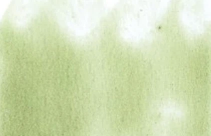 Spring Color 色卡實際紋理 VERDE VEL 11